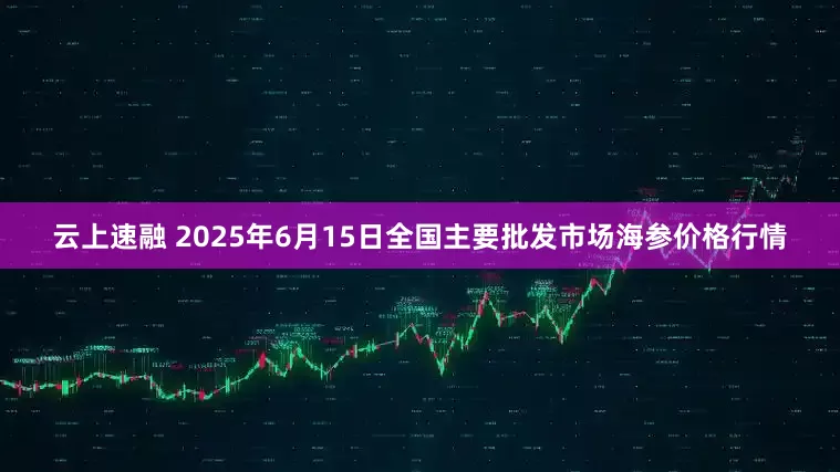 云上速融 2025年6月15日全国主要批发市场海参价格行情